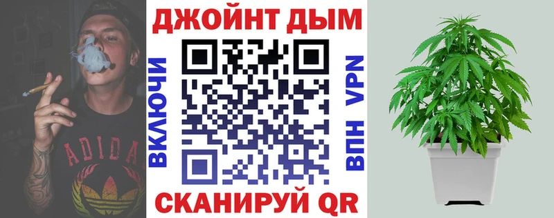 Канабис OG Kush  Плавск 
